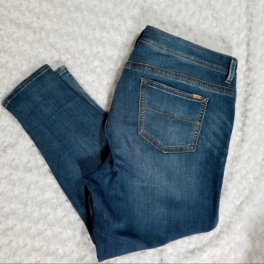 Melissa McCarthy Seven7 Pencil Skinny Jeans